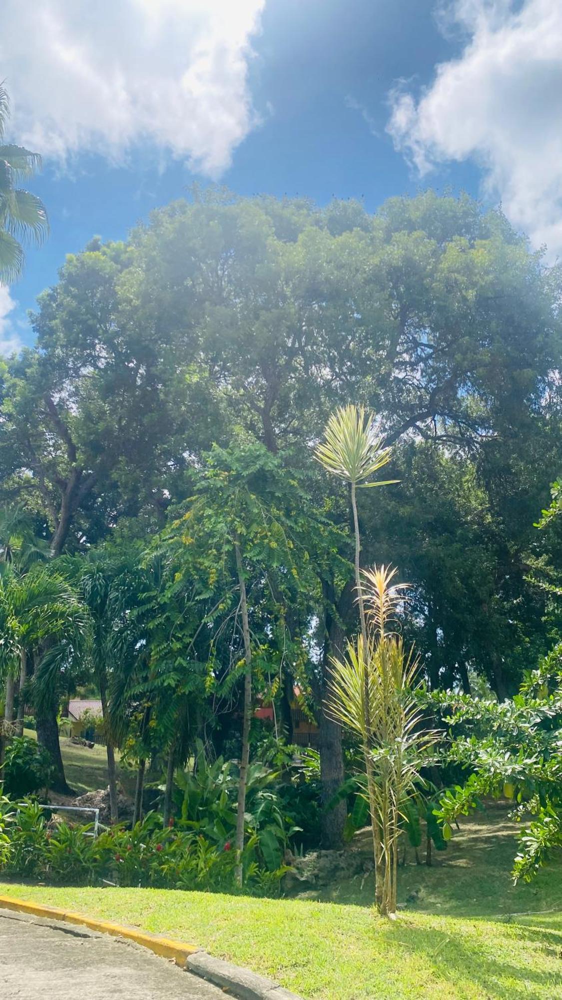 Secret Garden Βίλα Sainte-Anne Εξωτερικό φωτογραφία
